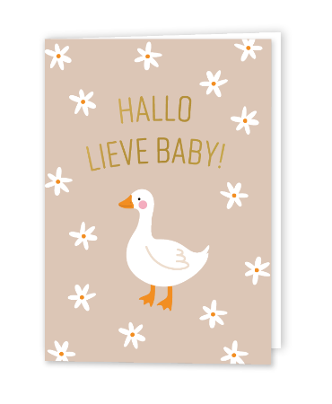 Kaartje 'Hallo lieve baby!'