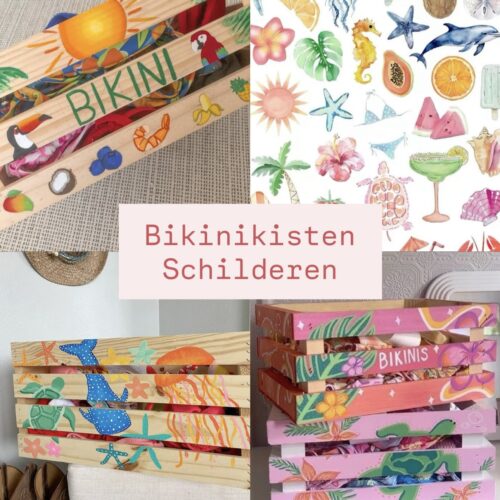 Bikinikisten schilderen (Prijs P.P)