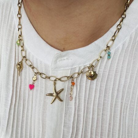 Ster ketting Goud