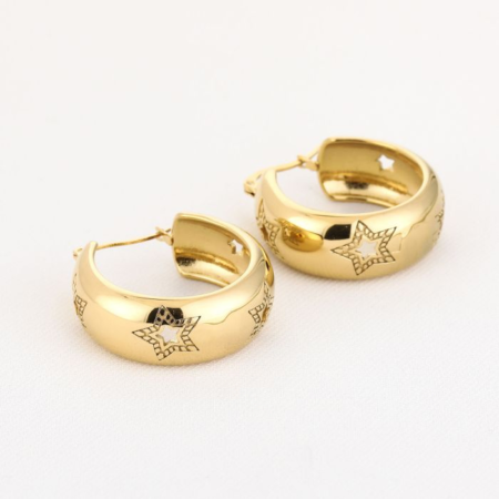 Oorbellen hoops goud Ster