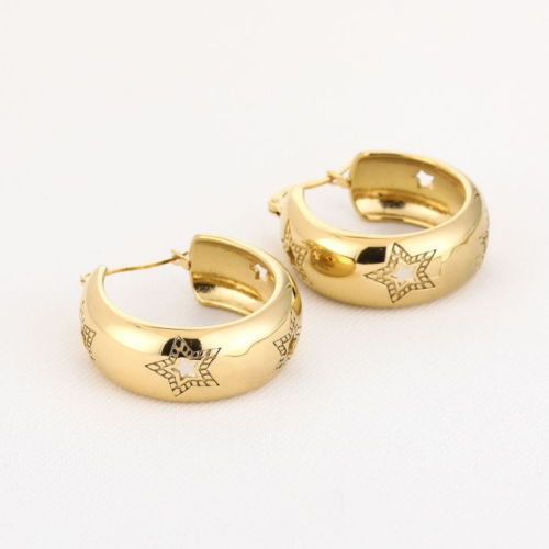 Oorbellen hoops goud Ster