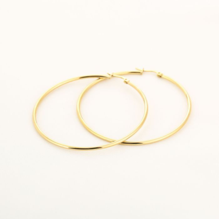 Oorbellen Hoops goud