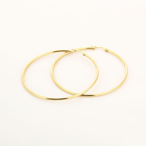Oorbellen Hoops goud